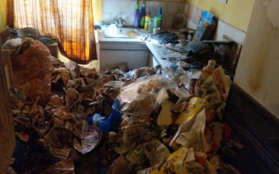 Hoarding Clean Up Help