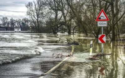 Flood & Sewage Clean Up