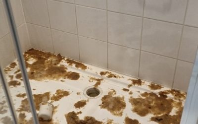 Flood & Sewage Clean Up for Business or Home