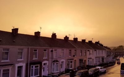 Biohazards in the Home – Hoarding Clean Up or Declutter Service