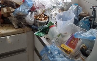Increased Demand for a Hoarding Clean Up Service
