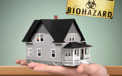 Hoarding Clean Up or Biohazard Clear and Clean Service in the Home