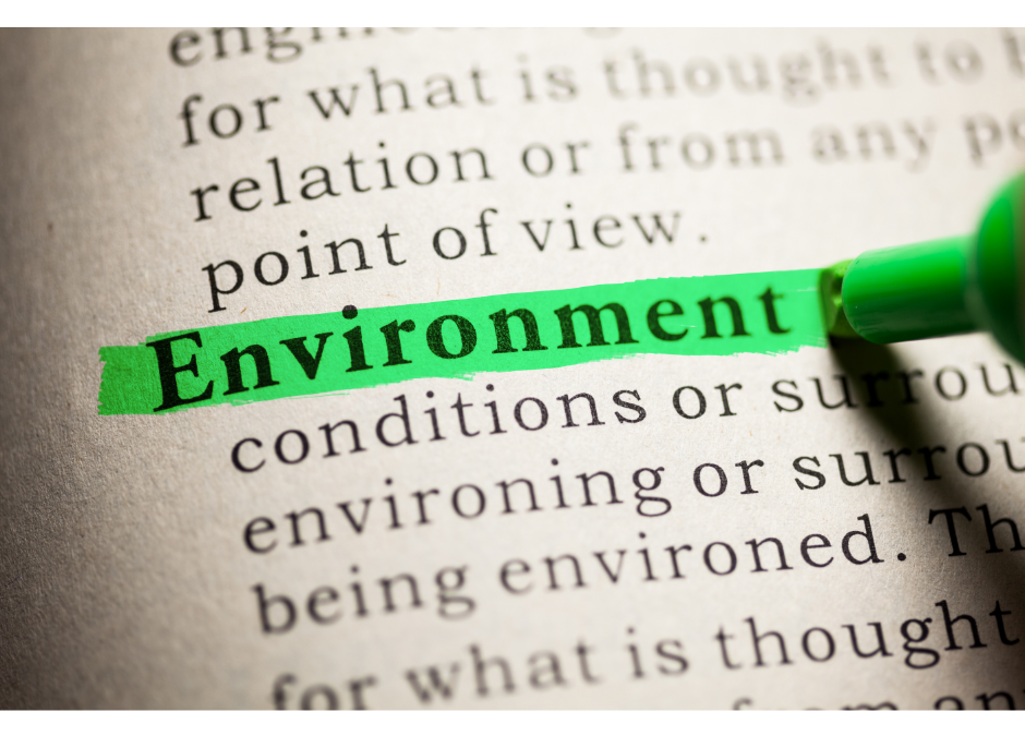 Minimising The Environmental Impact Of After Death Cleaning