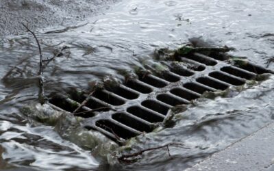 Surviving the Storm: A Guide to Flood and Sewage Clean Up