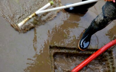 Your Trusted Partner for Flood and Sewage Clean Up Services