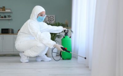 Navigating Biohazard Cleanup Risks: Ensuring Safety in After-Death Cleanup