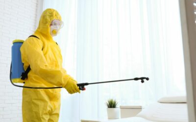 Unveiling the Truth: Common Questions About After-Death Cleaning