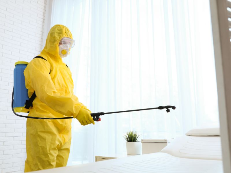 Unveiling the Truth Common Questions About After-Death Cleaning