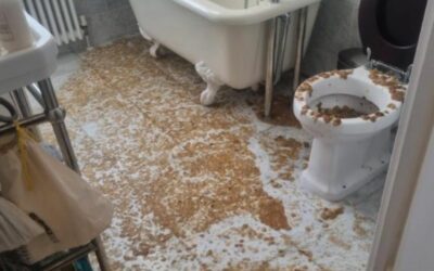 Can Cleaning Sewage Make You Ill? Vital Role of Professional Flood and Sewage Clean up