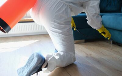 House Cleaning After Death with Professional Services