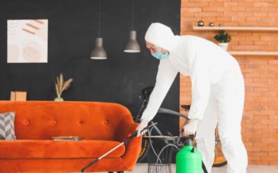 The Vital Role of Trauma Scene Cleaning Services