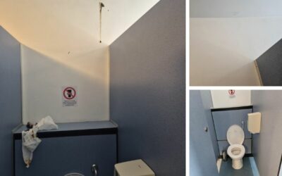 Cleaning Faeces from a Toilet: Tips for Trauma Scene Cleaning