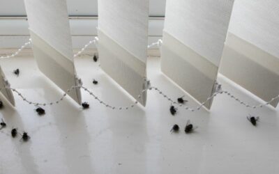 Identifying the Need for an Unattended Death Clean Up