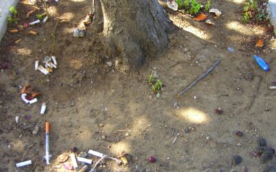 The Environmental Impact of Improper Needle Clean Up