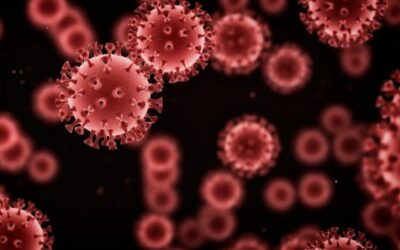 Improper Needle Disposal: Why You Need Professional Needle Clean Up