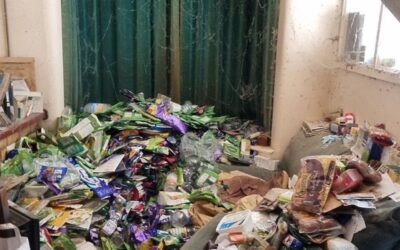 Discreet and Judgment-Free: Our Approach to Hoarding Clean up