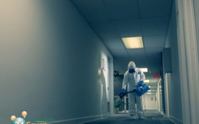 Specialist Building Decontamination After a Viral Outbreak