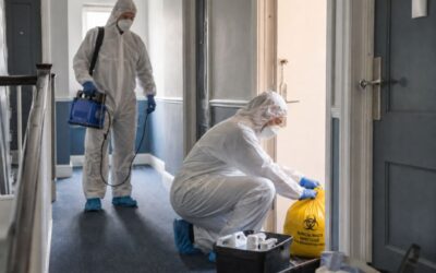 Blood Clean Up After a Death: Can Odours Affect Neighbouring Properties?