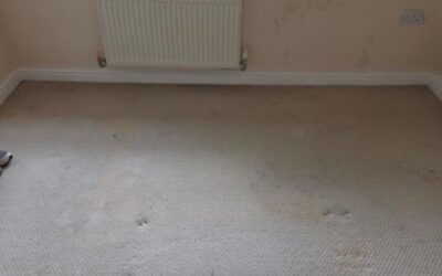 Unattended Death Cleanup in Braintree, Essex